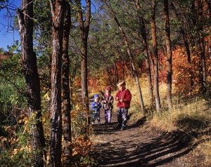 earth day activities for children