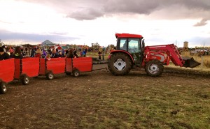 The tractor ride