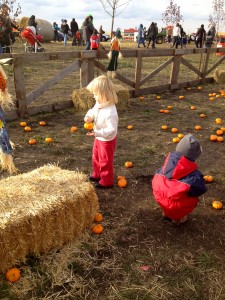 fall festivals