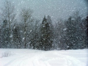 Snowstorm-2
