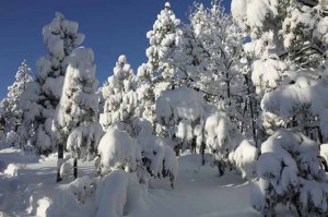 Major February Snow Storm