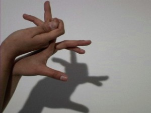 How_to_Make_Shadow_Puppets