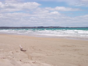 The beach Christmas Day 2007