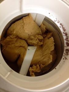 sugar free dairy free peanut butter ice cream